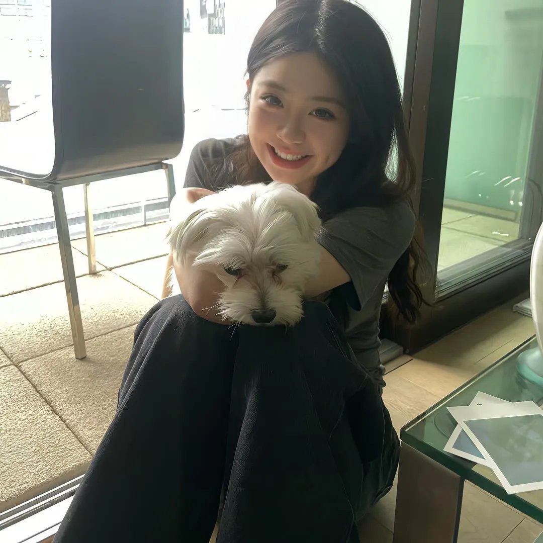 傲骨贤妻第三季